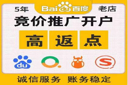 搜索引擎竞价推广实战：行业领先企业的成功秘诀